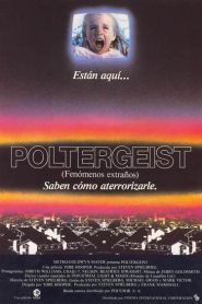 Poltergeist (Fenómenos extraños)