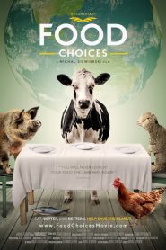 Food Choices