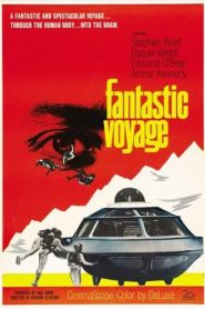 Viaje alucinante – Viaje fantástico