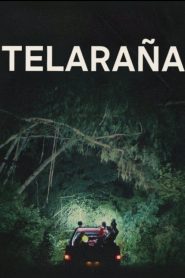 Telaraña (Birdeater)