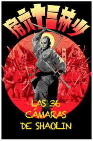 Las 36 cámaras de Shaolin